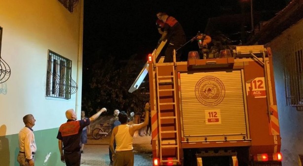 Foto - Eve ok gibi saplandı!