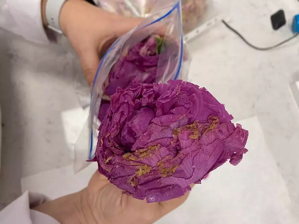 Foto - Evet, doğru okuyorsunuz! Bu parfüm sürülmüyor yutuluyor