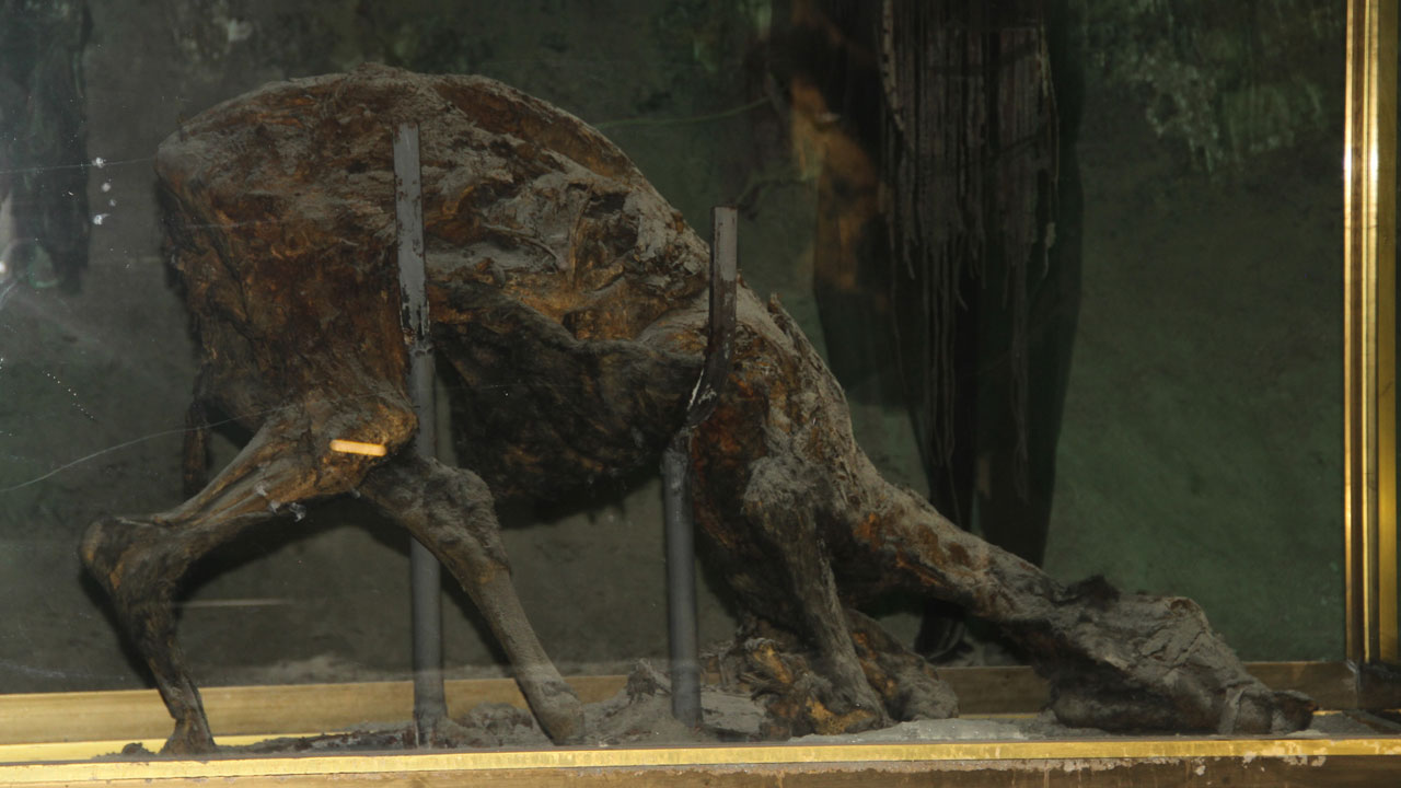 Foto - Evi ziyarete açıldı! Keloğlan'ın köyü ortaya çıktı mı?