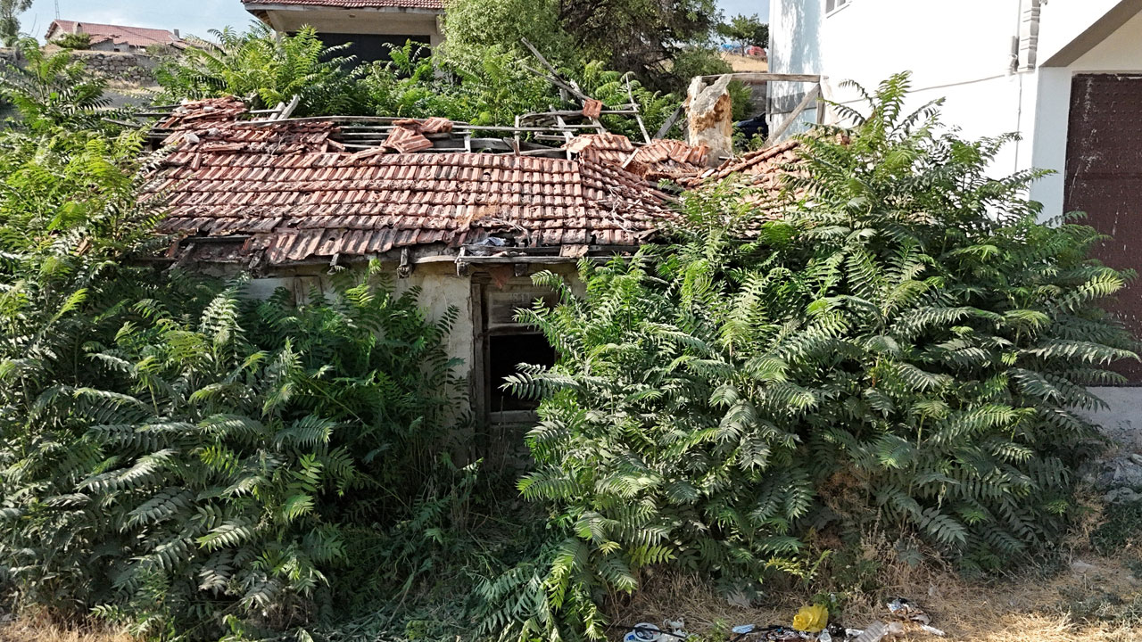 Evi ziyarete açıldı! Keloğlan'ın köyü ortaya çıktı mı?