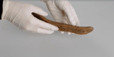 Foto - Evin altını kazdılar! Mezar bulunca kazmaya devam ettiler, sonra buldukları şeyi görünce hemen ekipleri aradılar