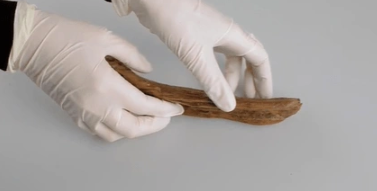 Foto - Evin altını kazdılar! Mezar bulunca kazmaya devam ettiler, sonra buldukları şeyi görünce hemen ekipleri aradılar