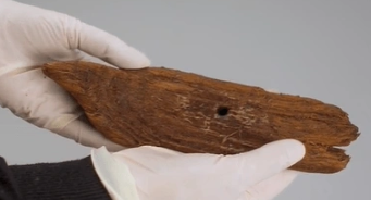 Foto - Evin altını kazdılar! Mezar bulunca kazmaya devam ettiler, sonra buldukları şeyi görünce hemen ekipleri aradılar