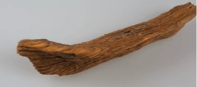 Foto - Evin altını kazdılar! Mezar bulunca kazmaya devam ettiler, sonra buldukları şeyi görünce hemen ekipleri aradılar