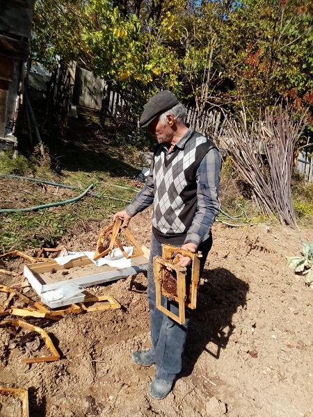 Foto - Evin bahçesine girdi onlarca arı telef oldu