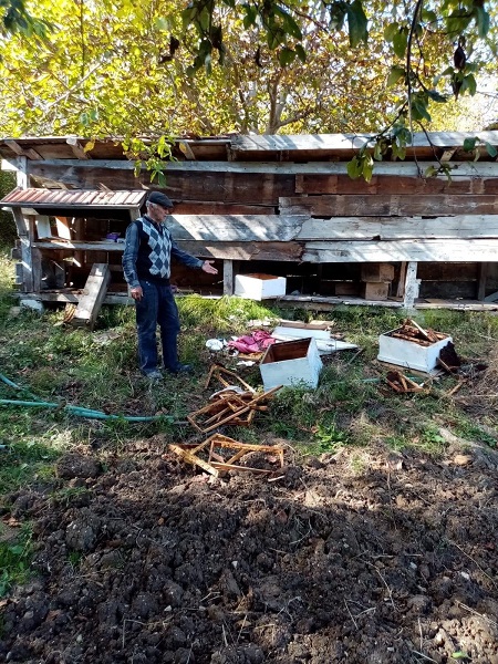 Foto - Evin bahçesine girdi onlarca arı telef oldu