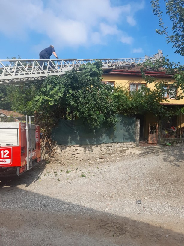 Foto - Evin çatısından gelen esrarengiz seslerin sebebi belli oldu