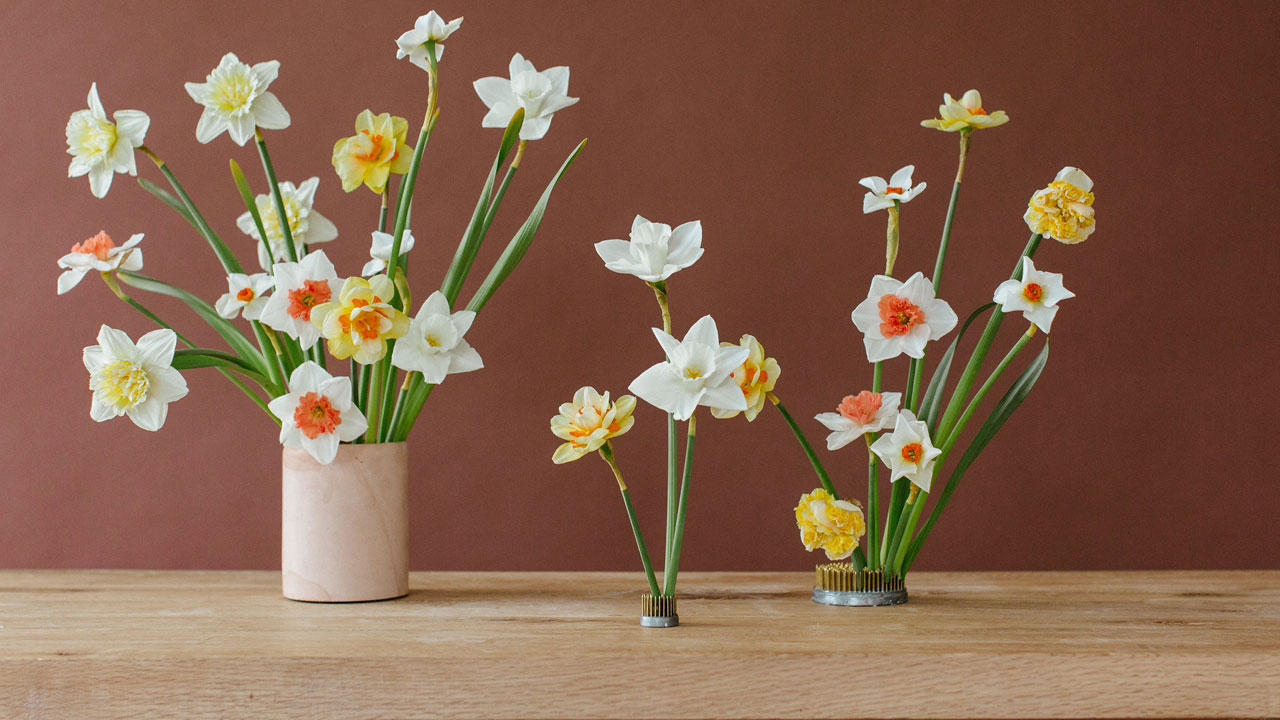 Foto - Evin havasını değiştiriyorlar: Uzmanlara göre en güzel kokan 15 bitki