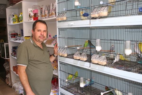 Foto - Evinde muhabbet kuşu olanlar dikkat! 