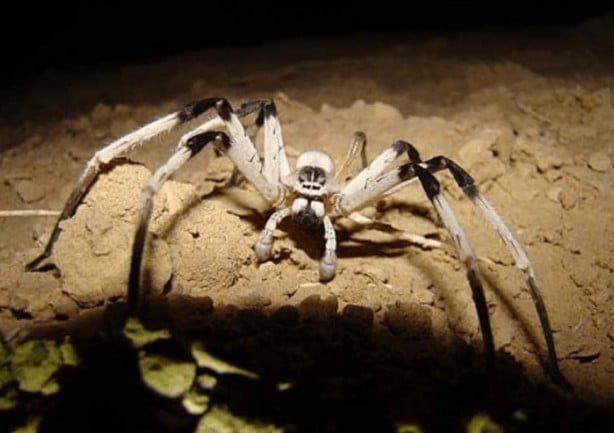 Foto - Evinden çıkan adam hayatının şokunu yaşadı