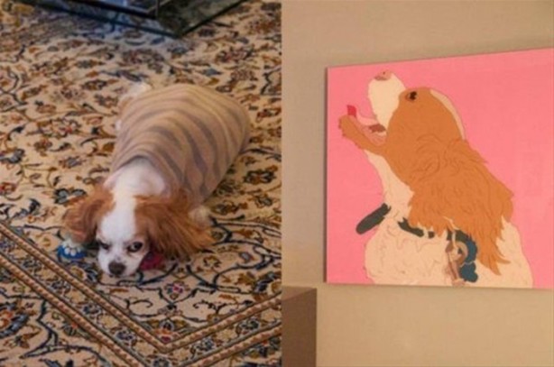 Foto - Evine öyle bir şey yaptırdı ki!