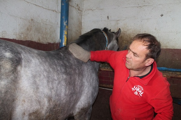 Foto - Evini adeta müzeye dönüştürdü! 