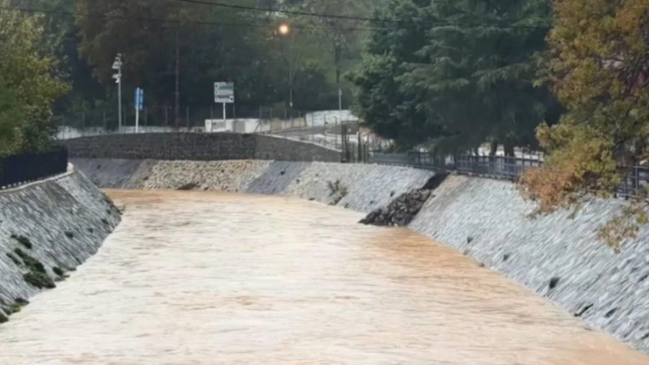 Foto - Evini o halde görünce istan etti: 'İlgilenen yok'