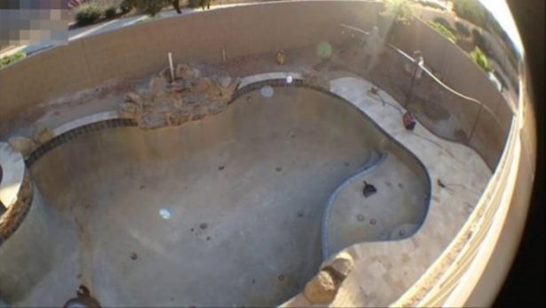 Foto - Evinin arka bahçesinde bakın ne yaptı!