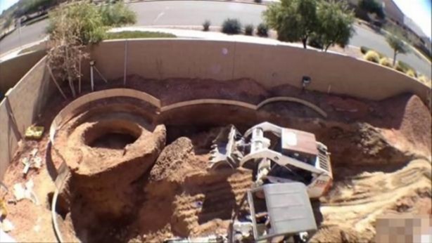 Foto - Evinin arka bahçesinde bakın ne yaptı!