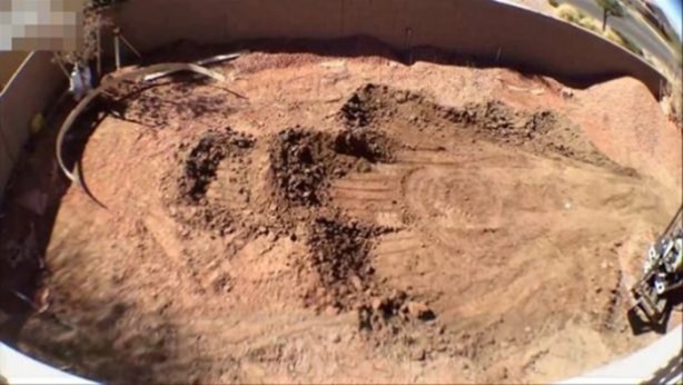 Foto - Evinin arka bahçesinde bakın ne yaptı!