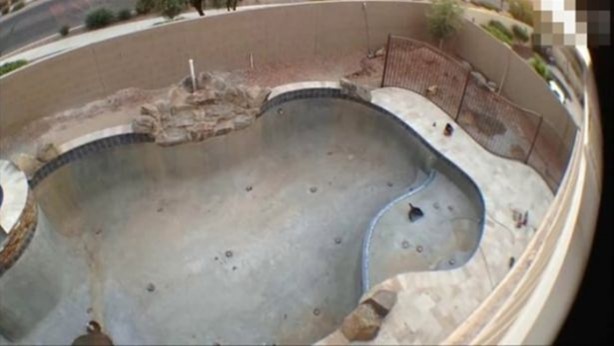 Foto - Evinin arka bahçesinde bakın ne yaptı!