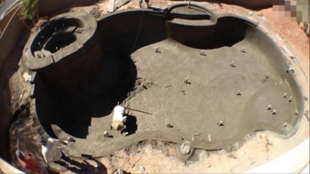 Foto - Evinin arka bahçesinde bakın ne yaptı!