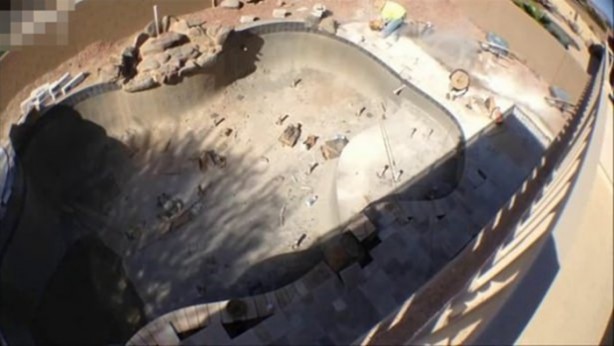 Foto - Evinin arka bahçesinde bakın ne yaptı!