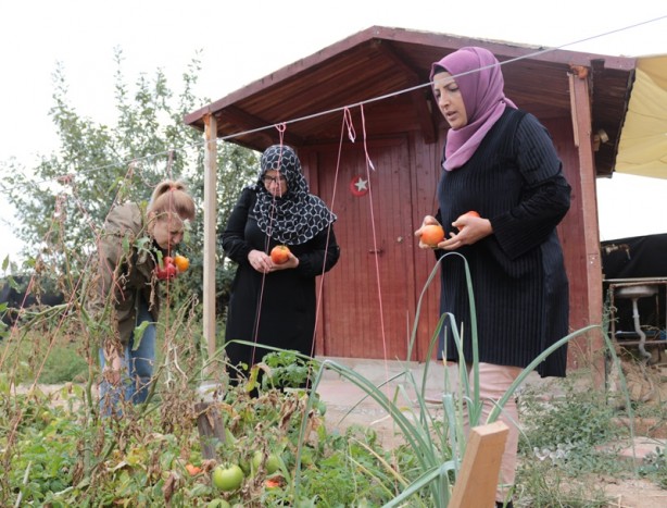 Evinin bahçesinde "ata tohumu" yetiştirdi! Kooperatif kurdu