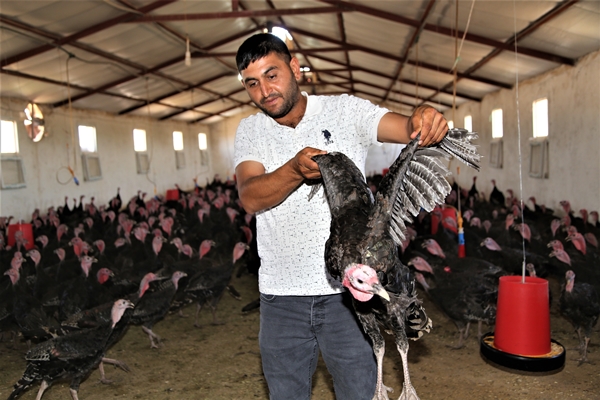 Foto - Evinin bahçesinde hobi olarak başladı... Şimdi gelen siparişlere yetişemiyor