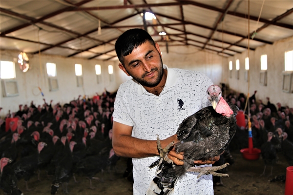 Foto - Evinin bahçesinde hobi olarak başladı... Şimdi gelen siparişlere yetişemiyor