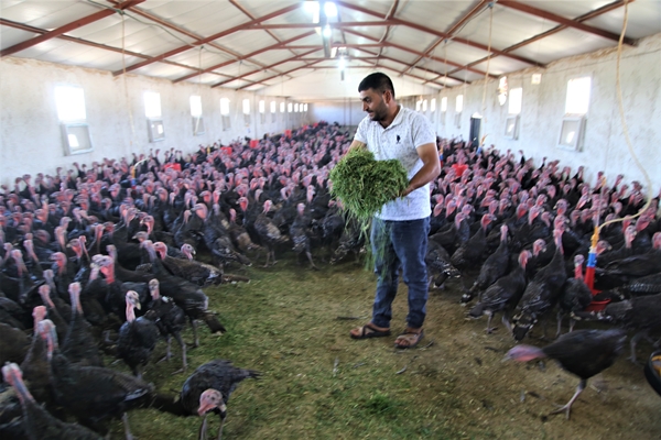Foto - Evinin bahçesinde hobi olarak başladı... Şimdi gelen siparişlere yetişemiyor