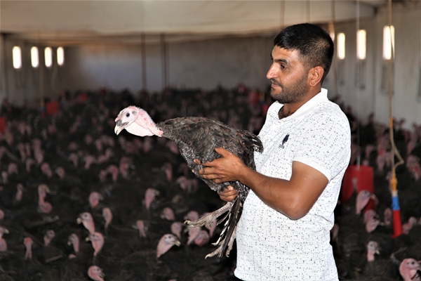 Foto - Evinin bahçesinde hobi olarak başladı... Şimdi gelen siparişlere yetişemiyor