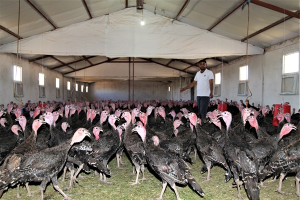 Foto - Evinin bahçesinde hobi olarak başladı... Şimdi gelen siparişlere yetişemiyor