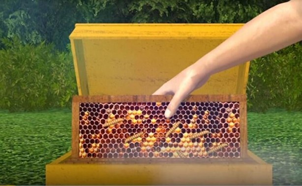 Foto - Evinin bahçesinde tesadüfen buldu! Tarihi keşif