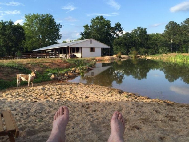 Foto - Evinin bahçesine havuz yapmak yerine bakın ne yaptı!
