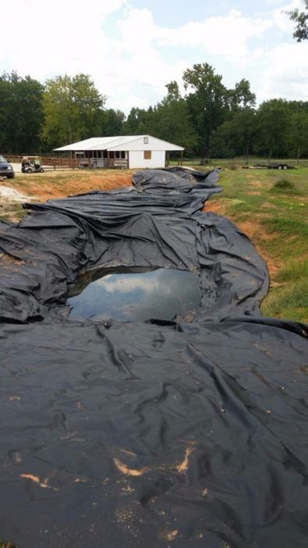 Foto - Evinin bahçesine havuz yapmak yerine bakın ne yaptı!