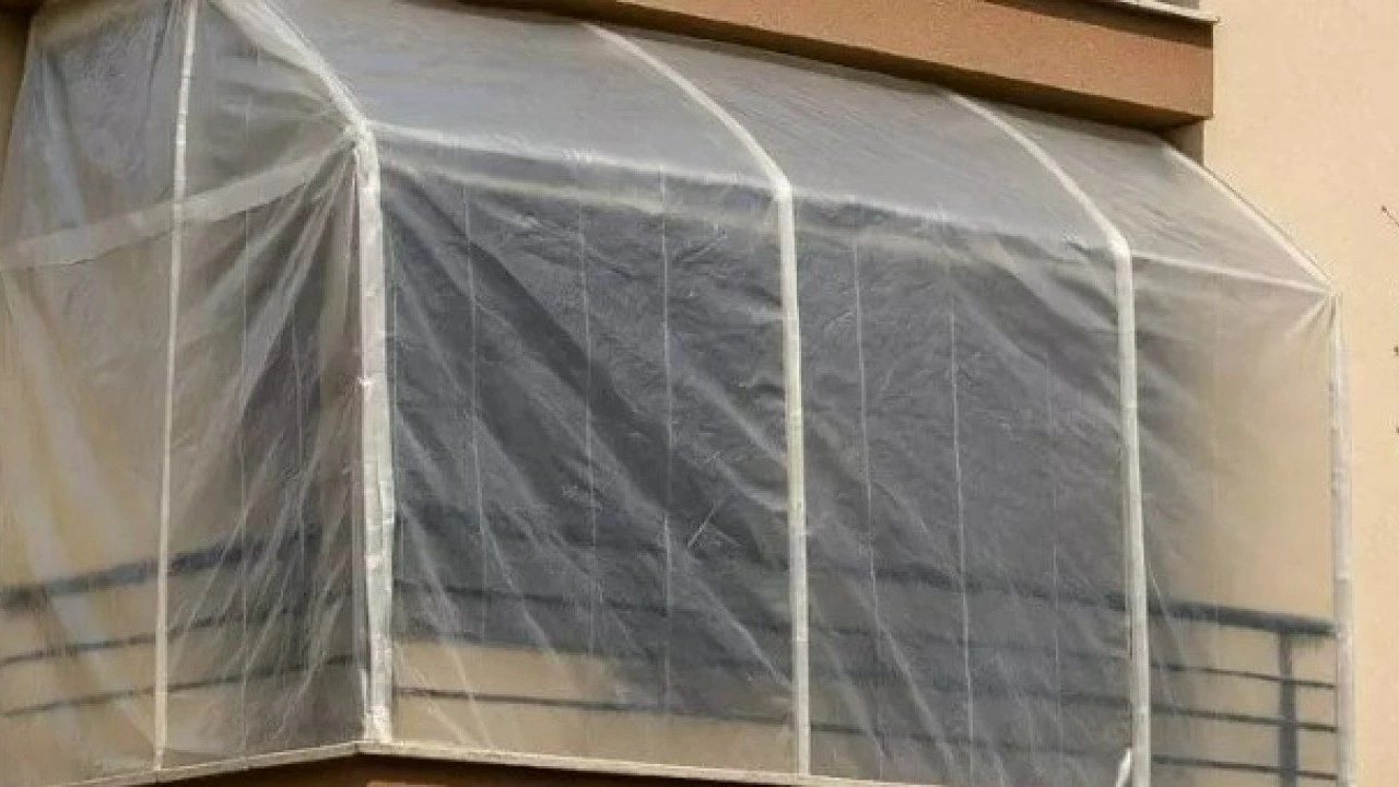 Evinin balkonunda üretti: Kilosunu 15 bin TL'den satıyor!