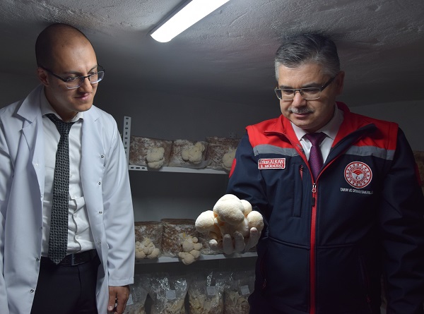 Foto - Evinin bodrumunda yetiştiriyor! Kilosu 2 bin TL'ye satılıyor