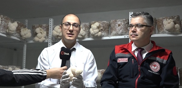 Foto - Evinin bodrumunda yetiştiriyor! Kilosu 2 bin TL'ye satılıyor