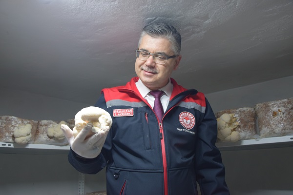 Foto - Evinin bodrumunda yetiştiriyor! Kilosu 2 bin TL'ye satılıyor