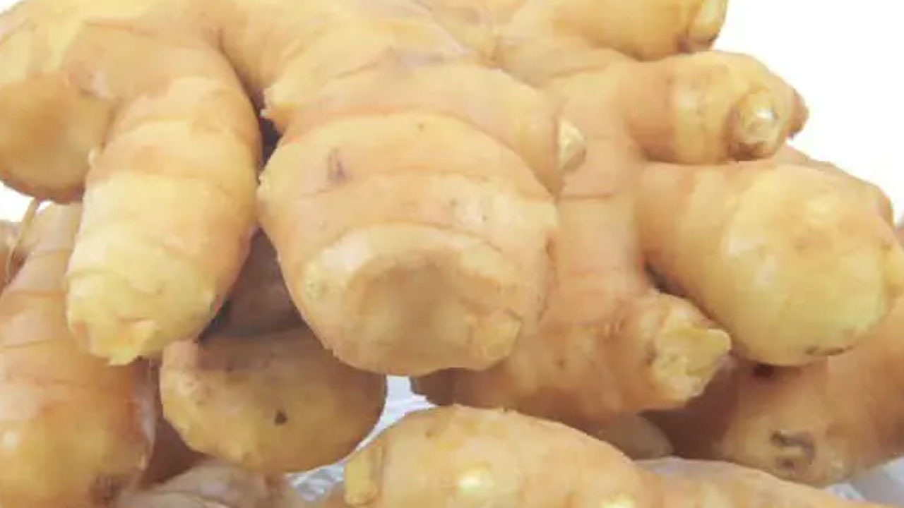 Foto - Evinizde zencefil yetiştirmek ister misiniz? Çok ama çok basit! Şifa deposu