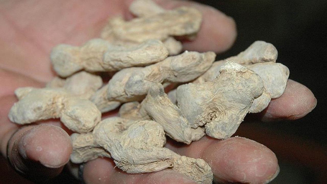 Foto - Evinizden eksik etmeyin! Soğuk havalara karşı doğanın silahı