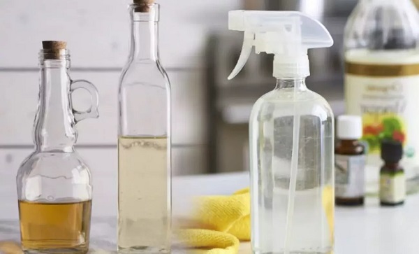 Foto - Evinizden eksik etmeyin! Tam bir şifa kaynağı