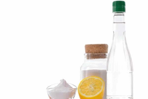 Foto - Evinizden eksik etmeyin! Tam bir şifa kaynağı