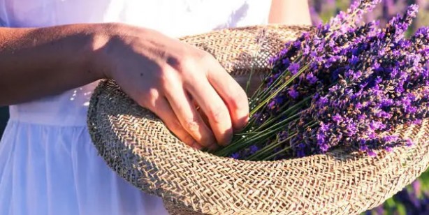 Evinize ve ofisinize pozitif enerji çeken 7 bitki 