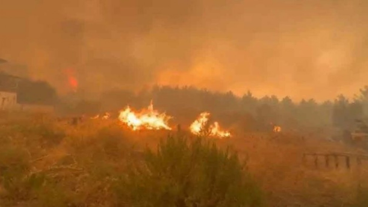 Foto - Evler cayır cayır yanıyor! Denizli-Aydın hattında yangın kontrolden çıktı