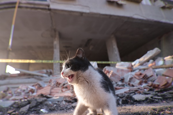 Foto - Evlerden geriye kalanlar! Bu tablo yürekleri yaktı