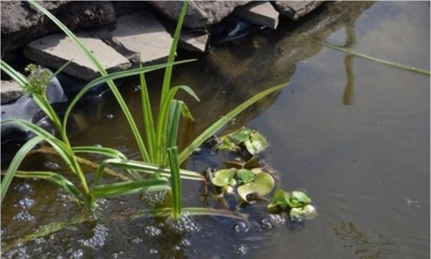 Foto - Evlerine öyle şeyler yaptılar ki...