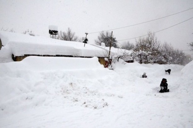 Foto - Evlerini bile bulamadılar!