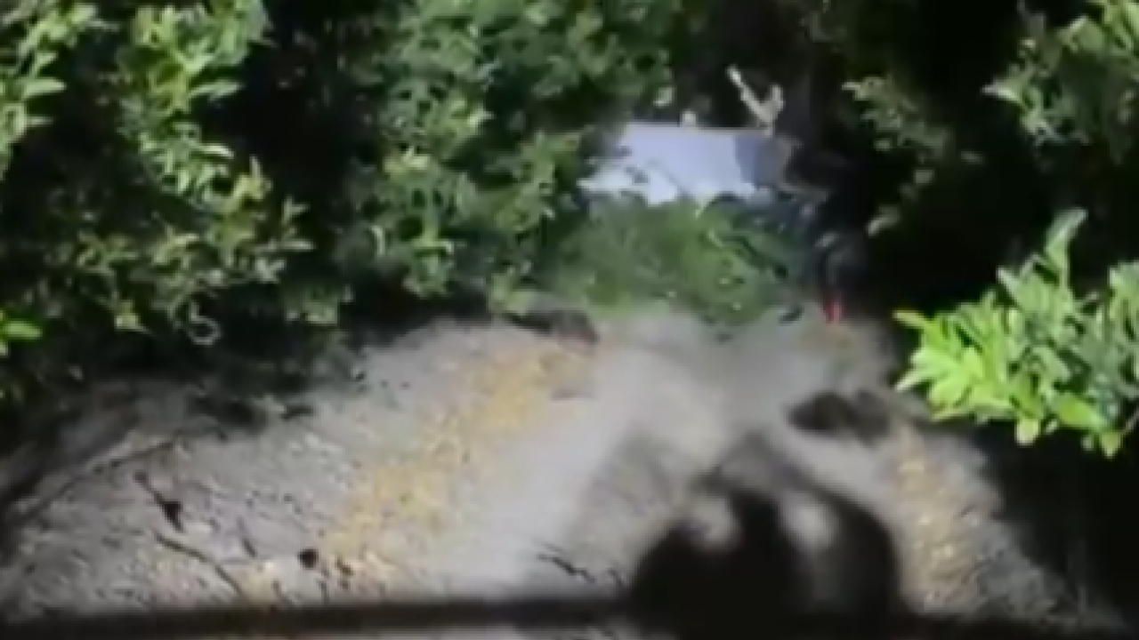 Foto - Evlilik teklifi faciayla bitti! Adana’da, "Evet" dedikten sonra, uçak düştü