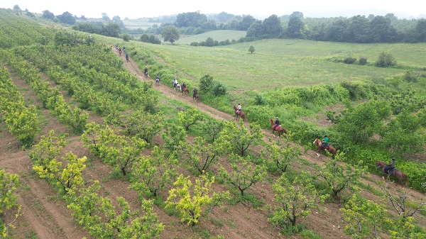 Foto - Evliya Çelebi Yolu 350 yıl sonra yeniden keşfedildi