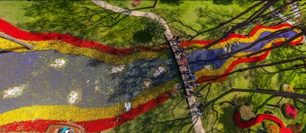 Foto - Evliya Çelebi'den unutkanlık sorununa çözüm