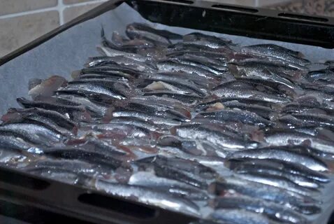 Foto - Evliya Çelebi'ye göre o yemek Trabzon'un hayat suyu! Seyahatname 'deki tek yemek tarifi