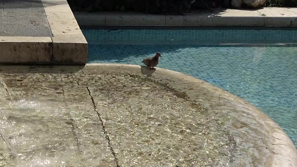 Foto - Eylül ayında termometreler 38 dereceyi gösterdi